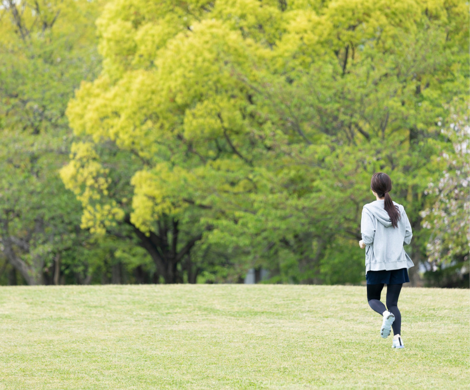 ペットと一緒のお墓に入る分骨供養のイメージ